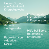 Knorpel- & Zell-Power - MSM(+)